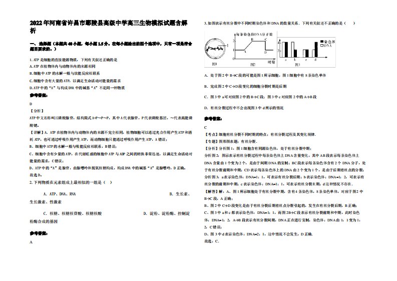 2022年河南省许昌市鄢陵县高级中学高三生物模拟试题含解析