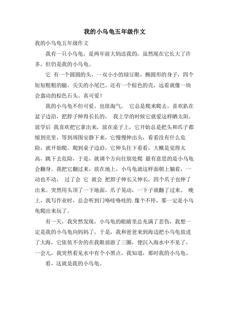 我的小乌龟五年级作文