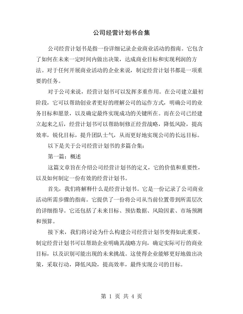 公司经营计划书合集