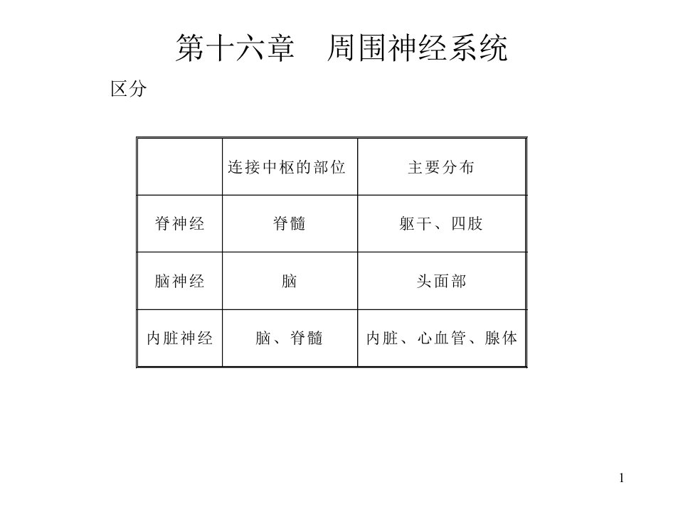 人体解剖学脊神经