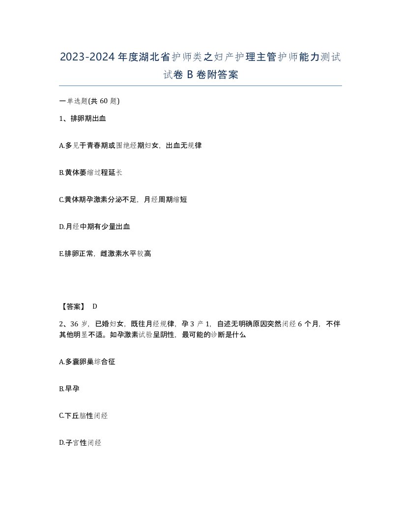 2023-2024年度湖北省护师类之妇产护理主管护师能力测试试卷B卷附答案