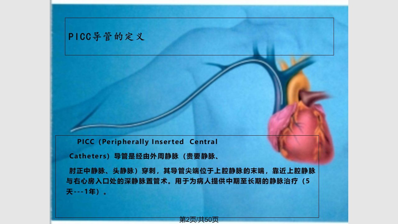 PICC置管术学习教程