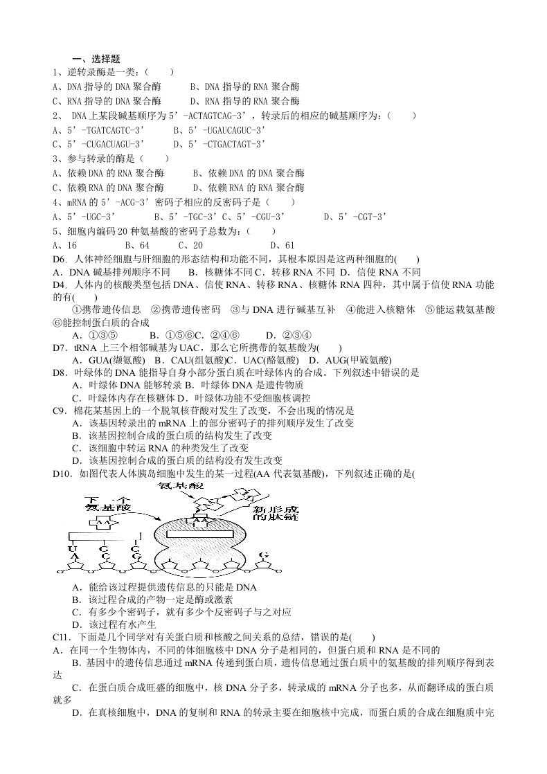 转录翻译试题