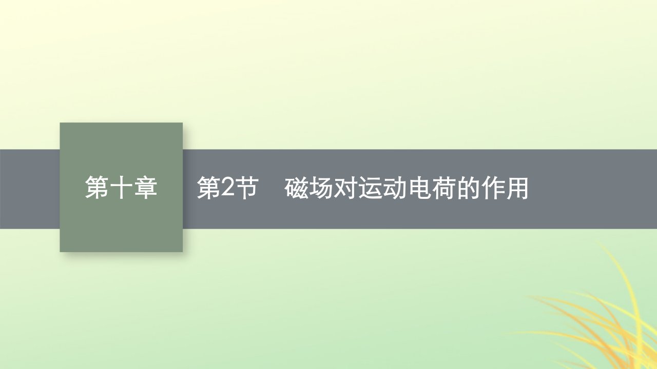 适用于新高考新教材广西专版2024届高考物理一轮总复习第10章磁场第2节磁吃运动电荷的作用课件