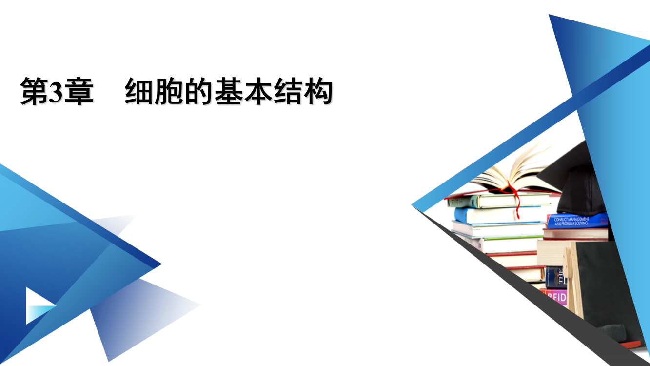 新教材2021-2022学年高一生物人教版（2019）必修1课件：第3章　细胞的基本结构