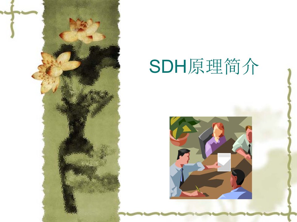 SDH培训内部资料(详尽100页)