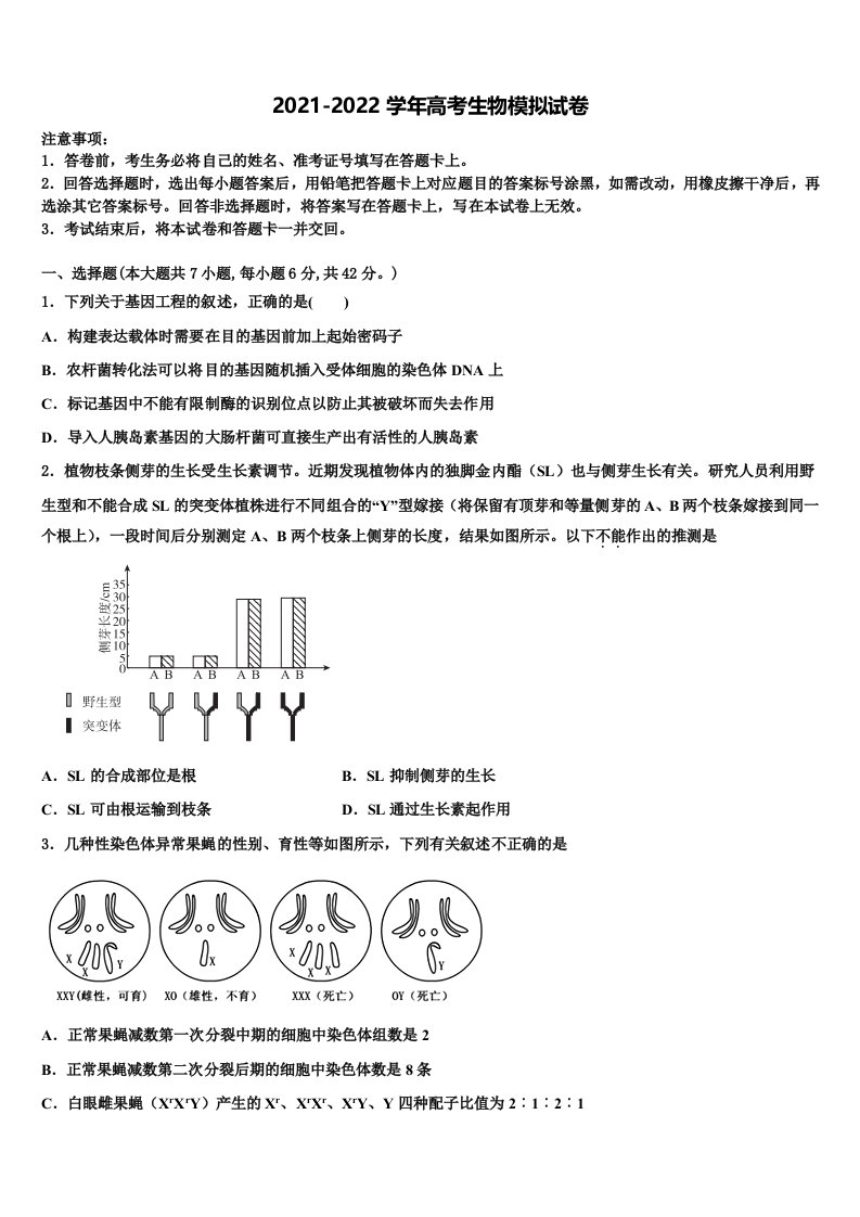 2022年广西南宁八中高三第二次模拟考试生物试卷含解析