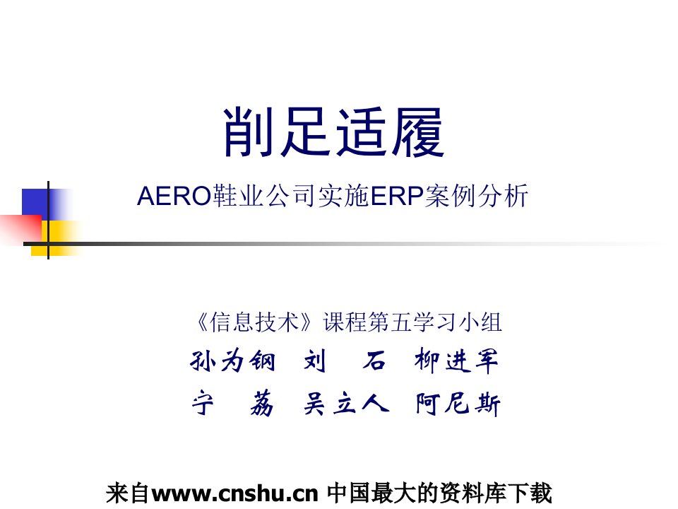 削足适履AERO鞋业公司实施ERP案例分析（PPT