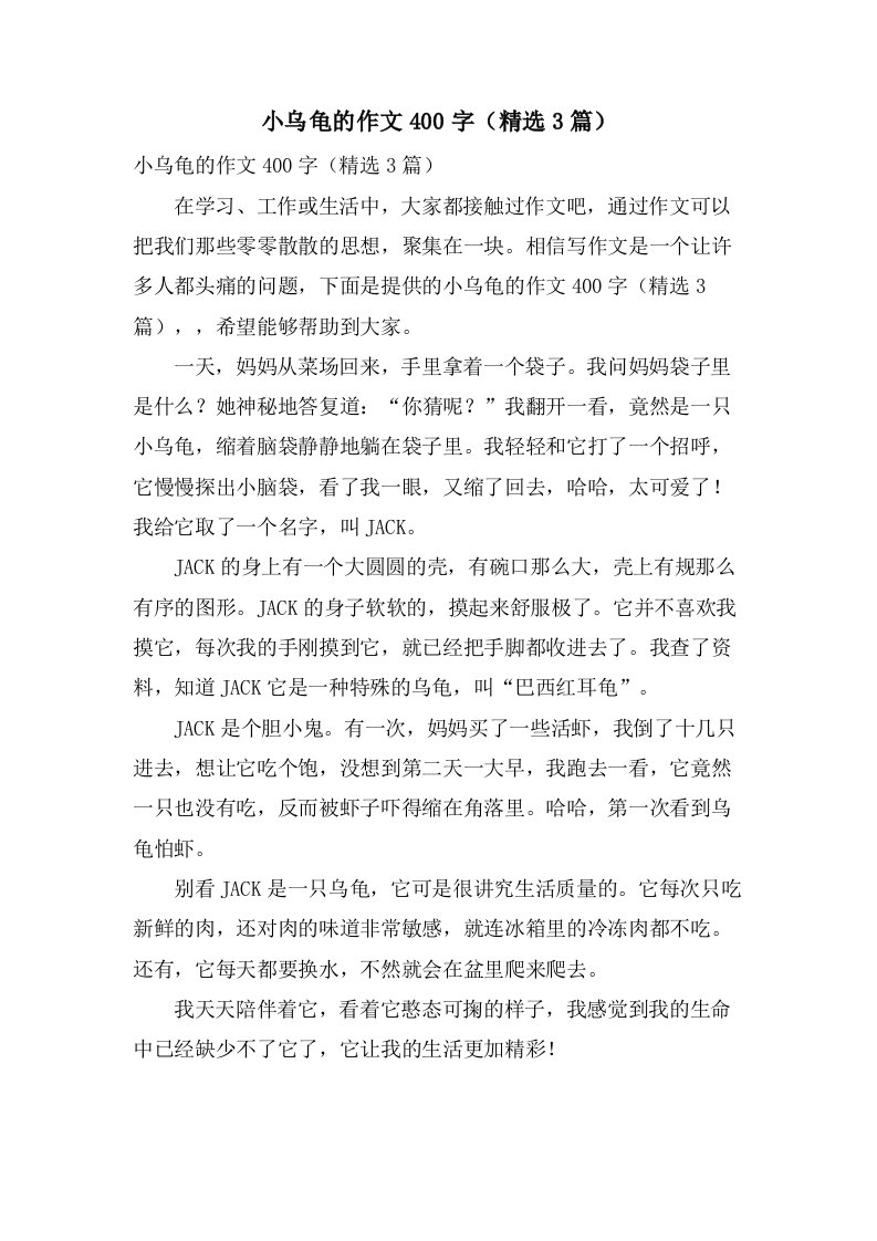 小乌龟的作文400字（3篇）