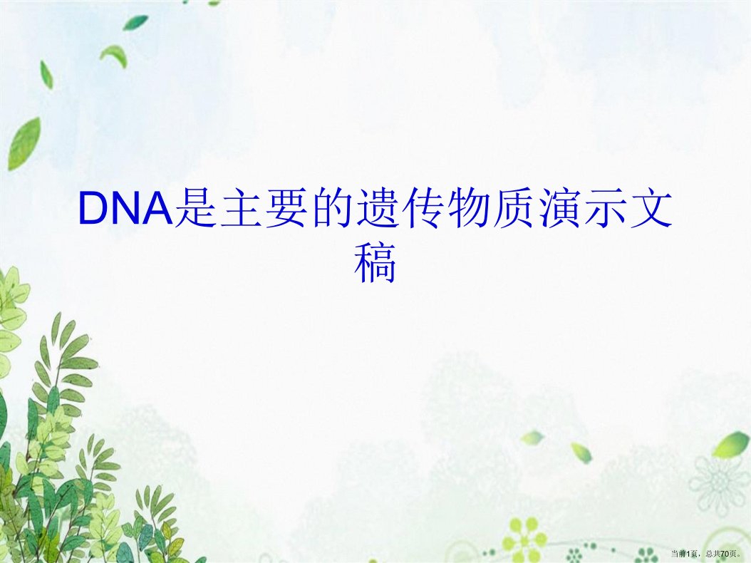 DNA是主要的遗传物质演示文稿