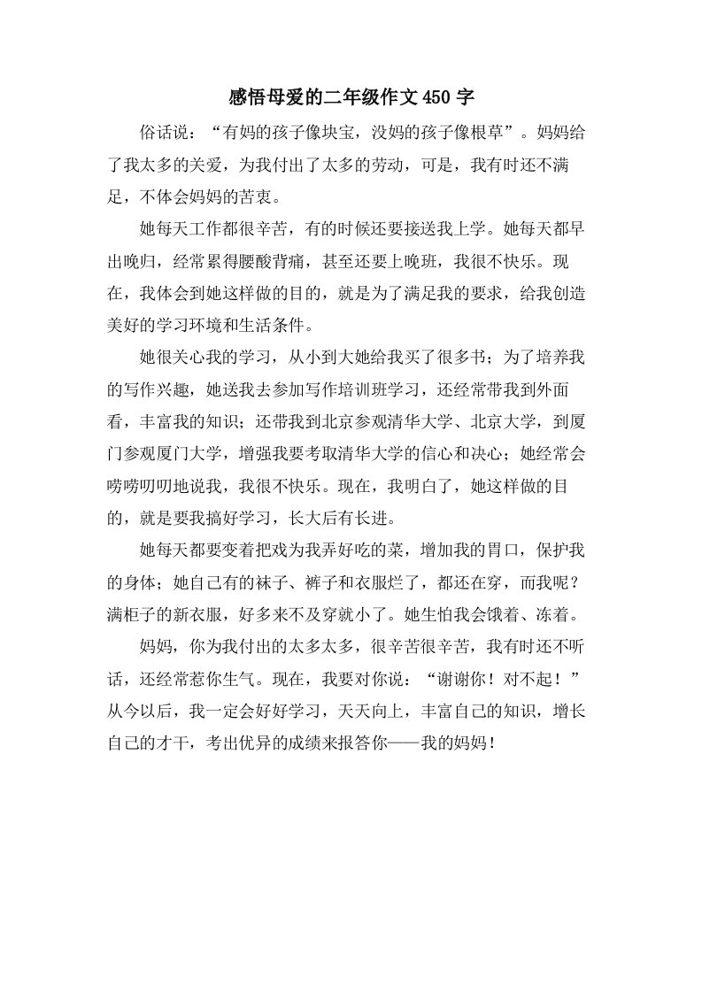 感悟母爱的二年级作文450字