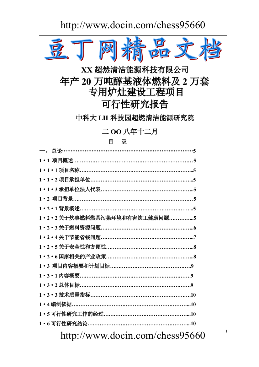 年产20万吨醇基液体燃料及2万套专用炉灶建设工程项目投资可行性研