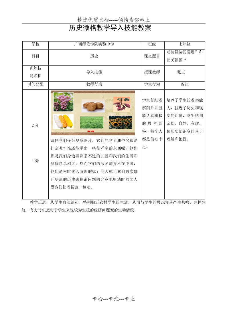 历史微格教学导入技能教案(共2页)