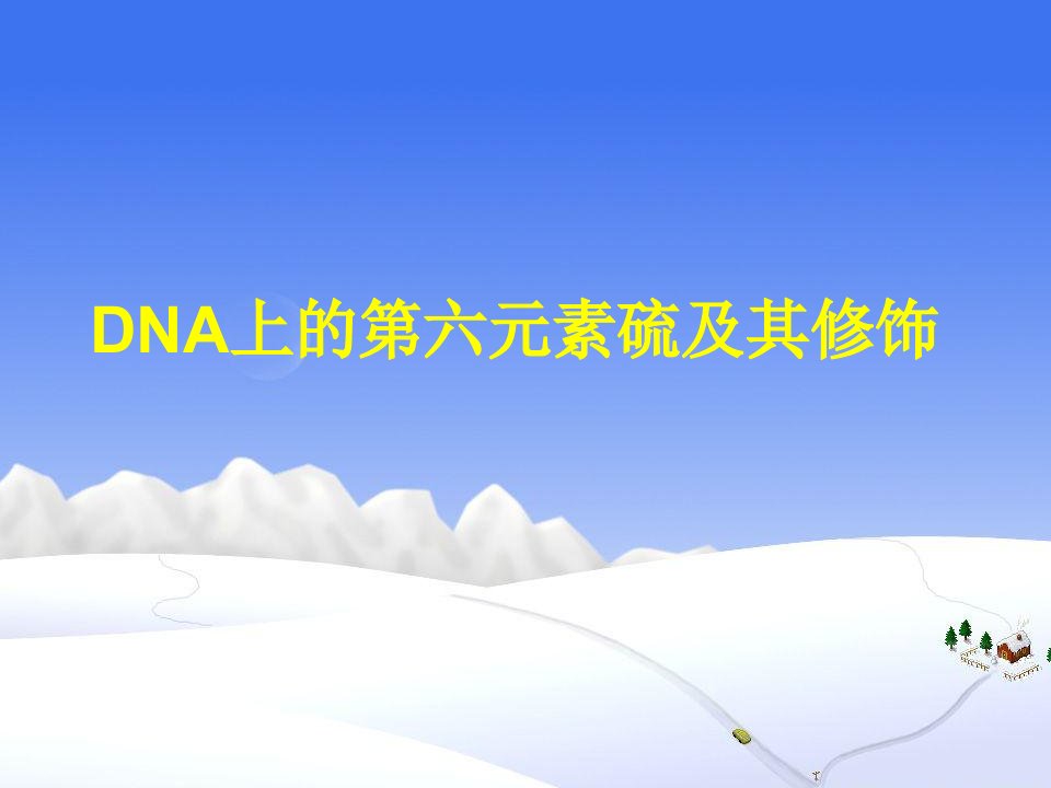 《DNA第六元数硫》PPT课件