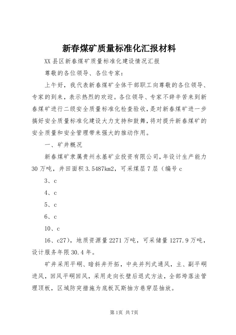 7新春煤矿质量标准化汇报材料