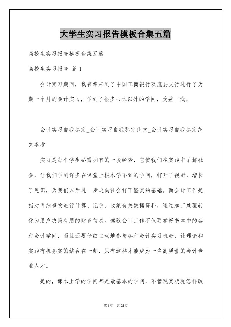 大学生实习报告模板合集五篇范文