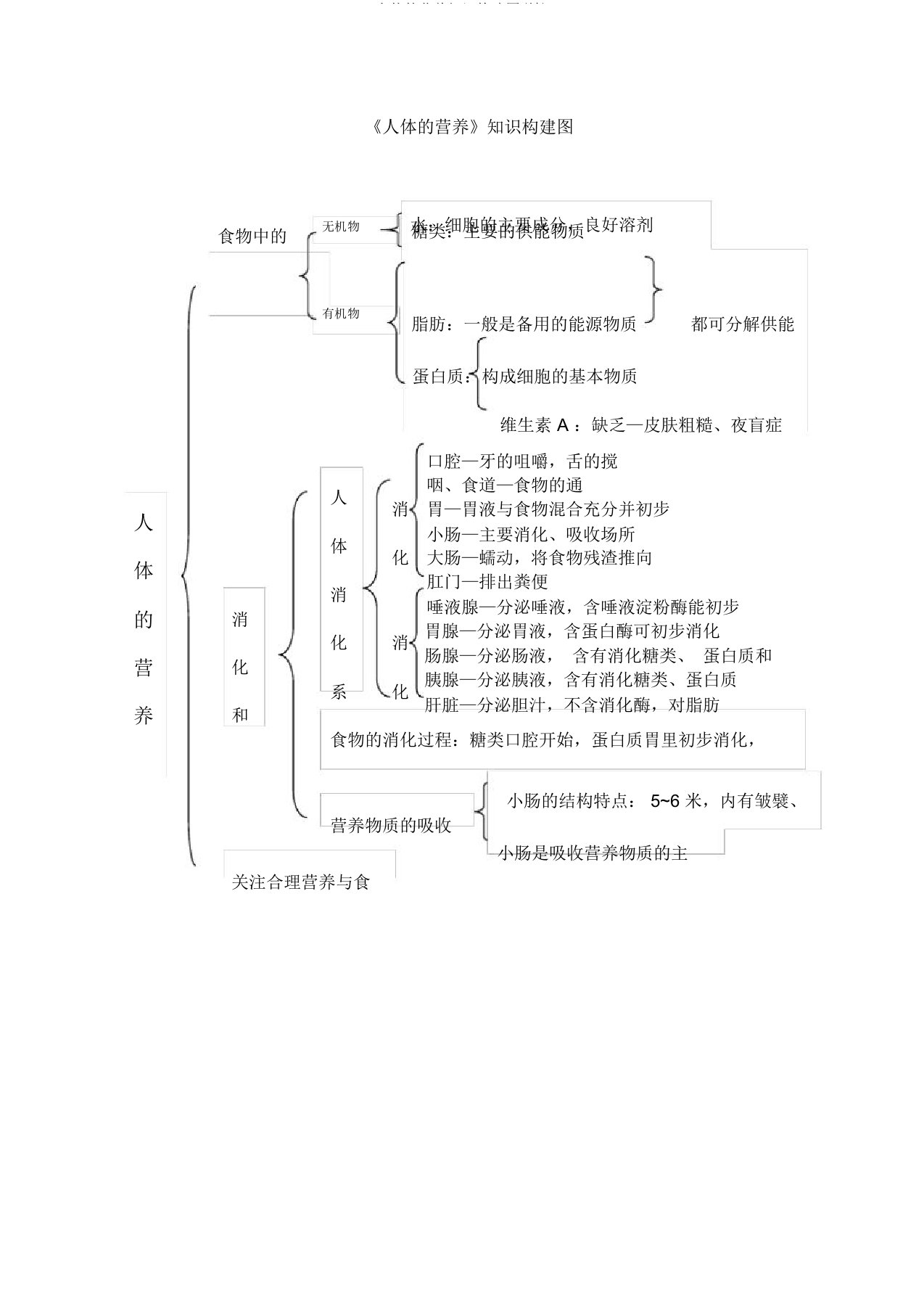 人体的营养知识构建图(精)