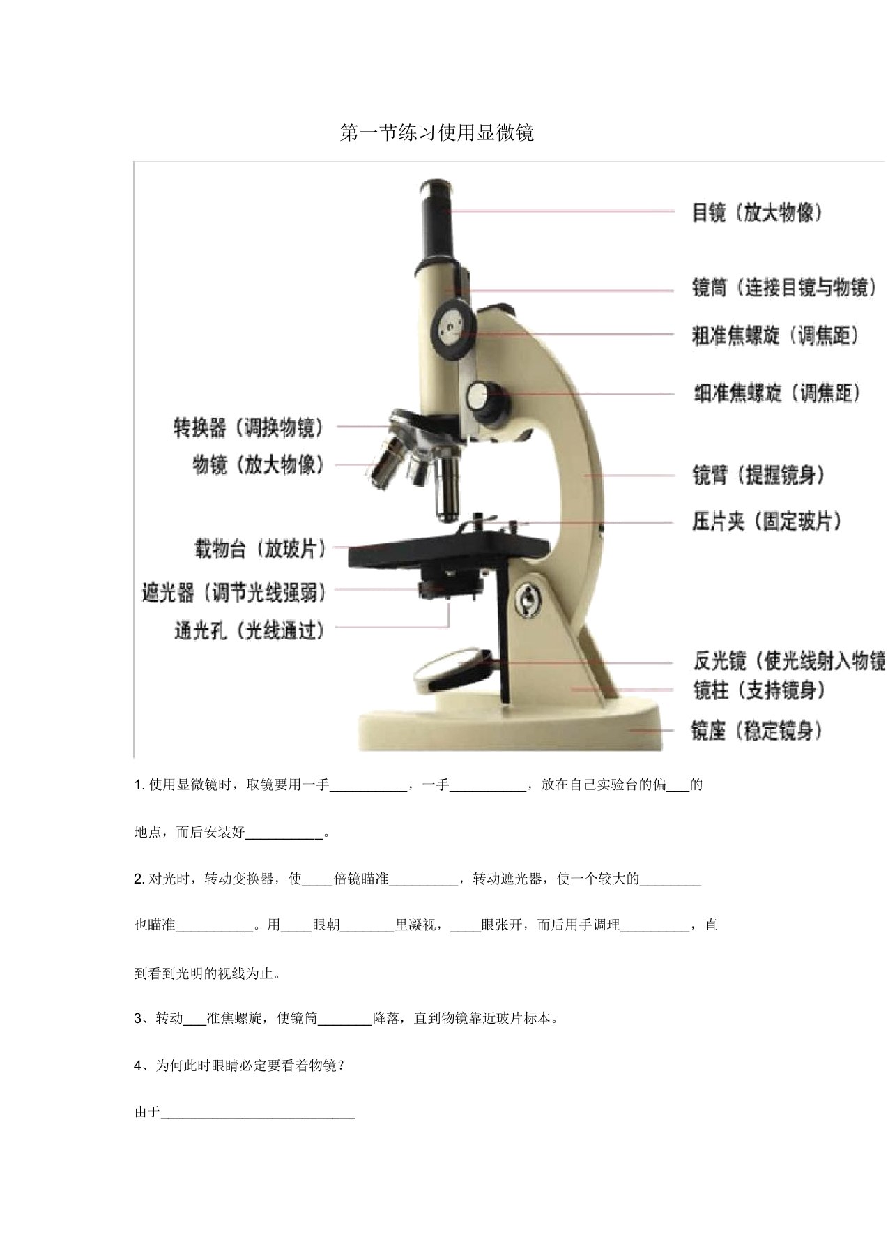 七年级生物上册显微镜的练习题人教新课标版