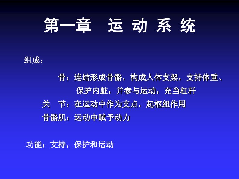 人体解剖学与组织胚胎学--运动系统