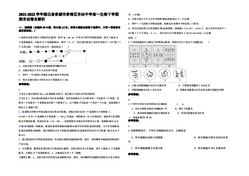 2021-2022学年湖北省孝感市孝南区车站中学高一生物下学期期末试卷含解析