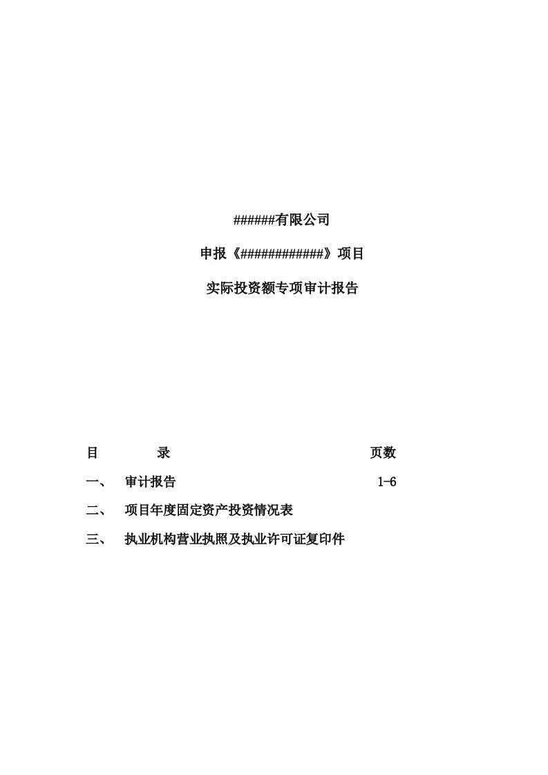 实际投资额专项审计报告-会计师事务所出具