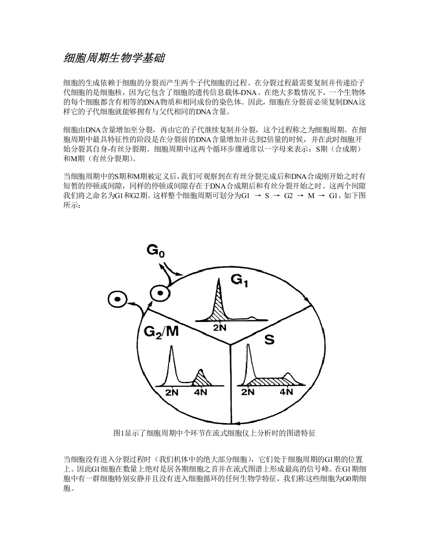 细胞周期分析重要知识