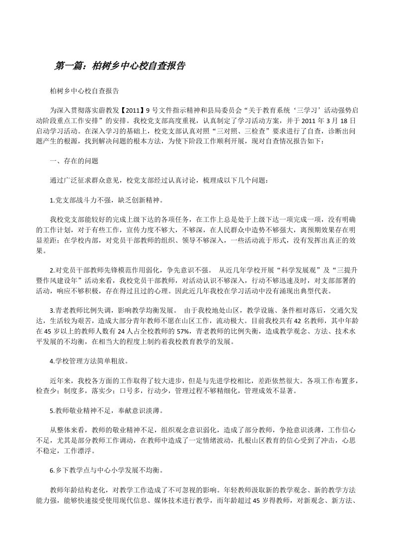 柏树乡中心校自查报告[修改版]