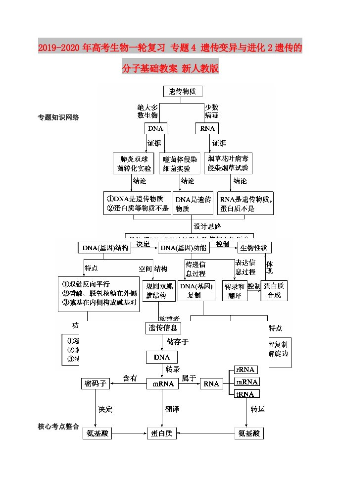 2019-2020年高考生物一轮复习