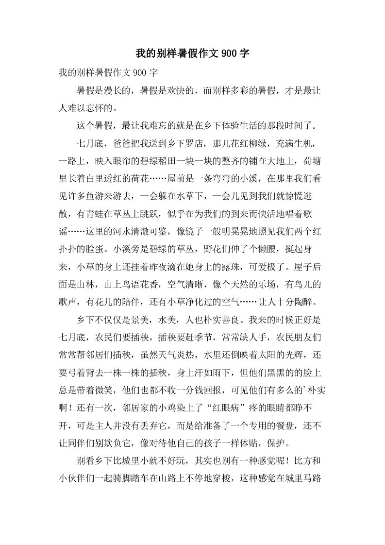 我的别样暑假作文900字