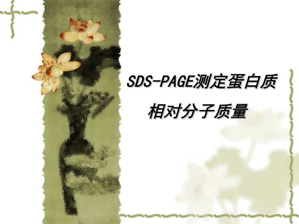 SDSPAGE测定蛋白质相对分子质量