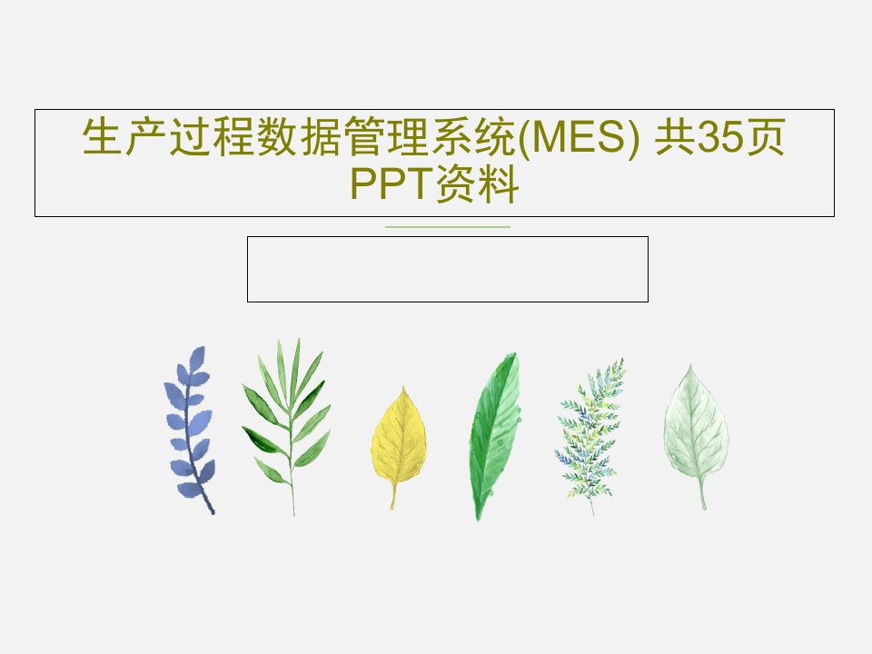 生产过程数据管理系统(MES)