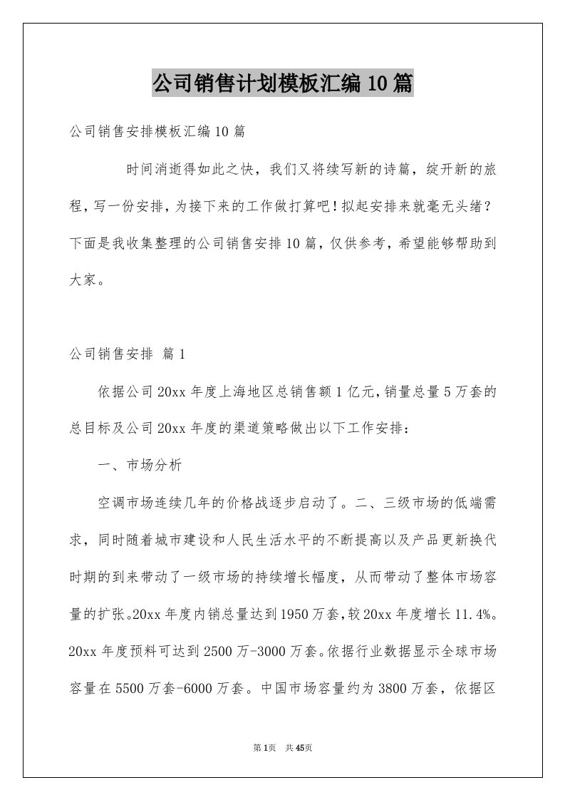 公司销售计划模板汇编10篇精选