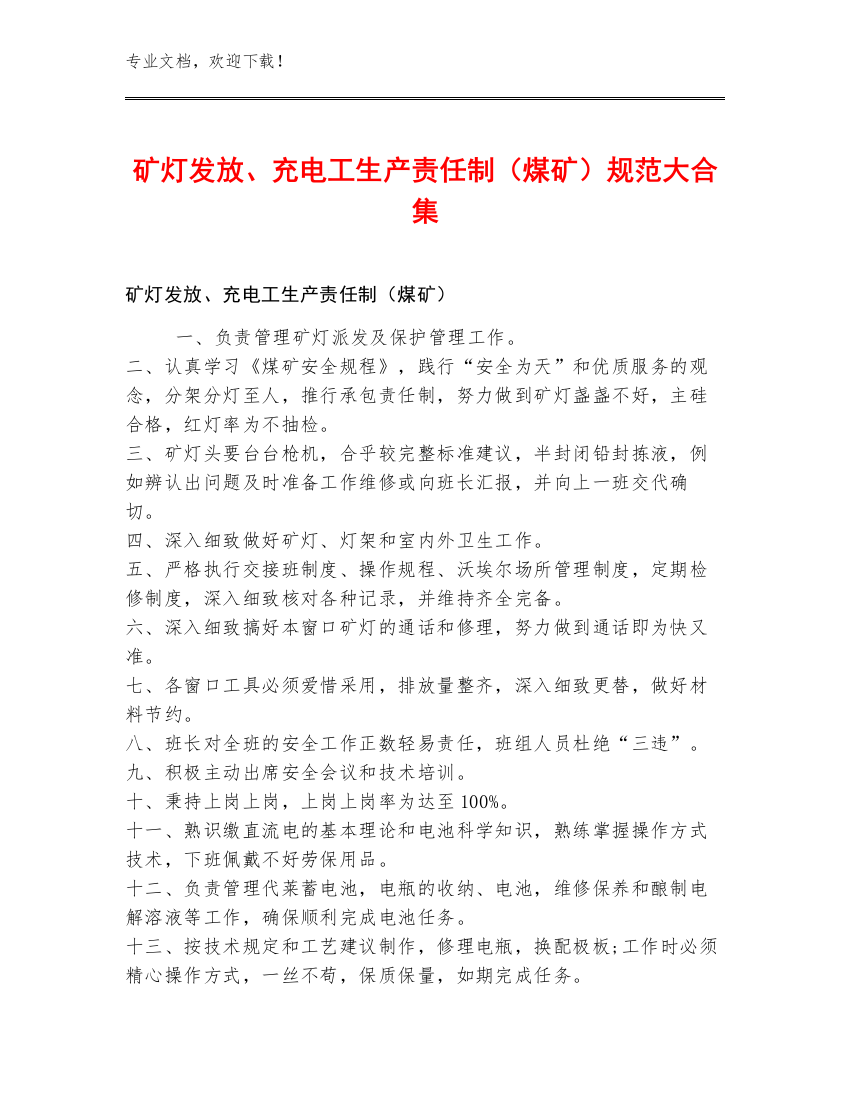 矿灯发放、充电工生产责任制（煤矿）规范大合集