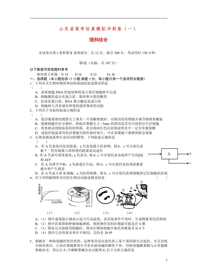 山东省高考理综仿真模拟冲刺卷试题（一）