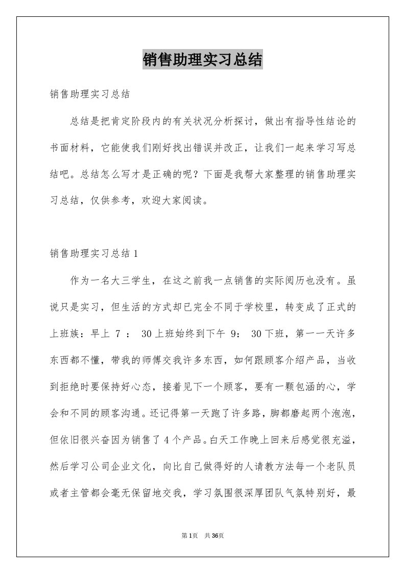 销售助理实习总结例文