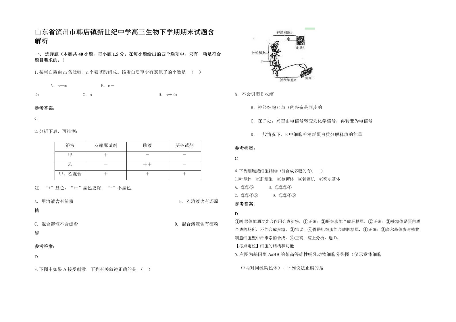 山东省滨州市韩店镇新世纪中学高三生物下学期期末试题含解析