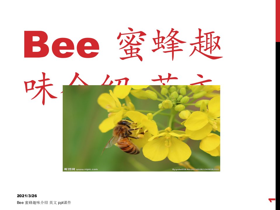 Bee