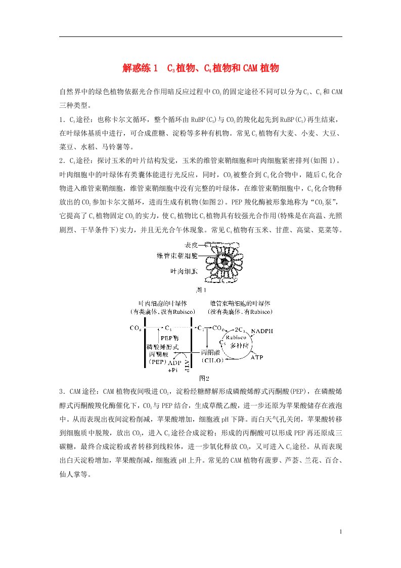 新高考2025届高考生物一轮复习讲义第3单元解惑练1C3植物C4植物和CAM植物新人教版