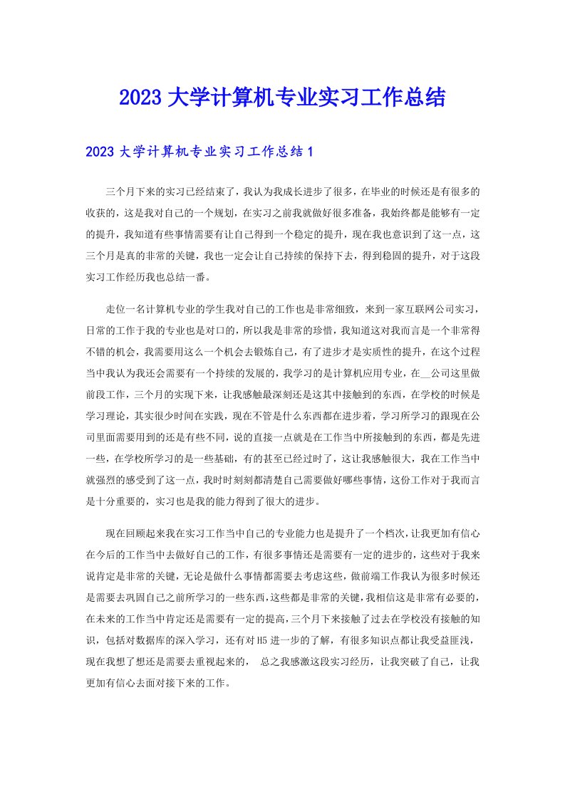 2023大学计算机专业实习工作总结