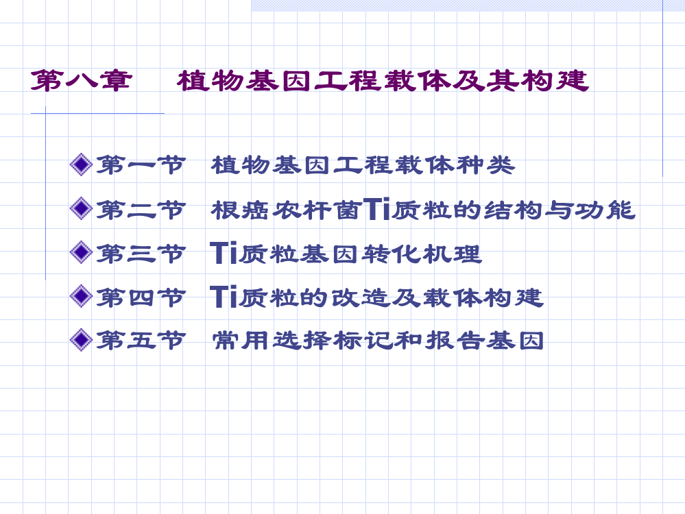 植物基因工程载体及其构建ppt课件