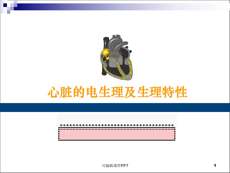 心脏的电生理学和生理特性ppt课件