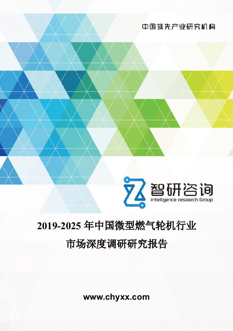 2019-2025年中国微型燃气轮机行业市场深度调研研究报告