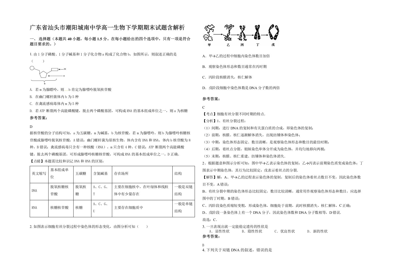 广东省汕头市潮阳城南中学高一生物下学期期末试题含解析