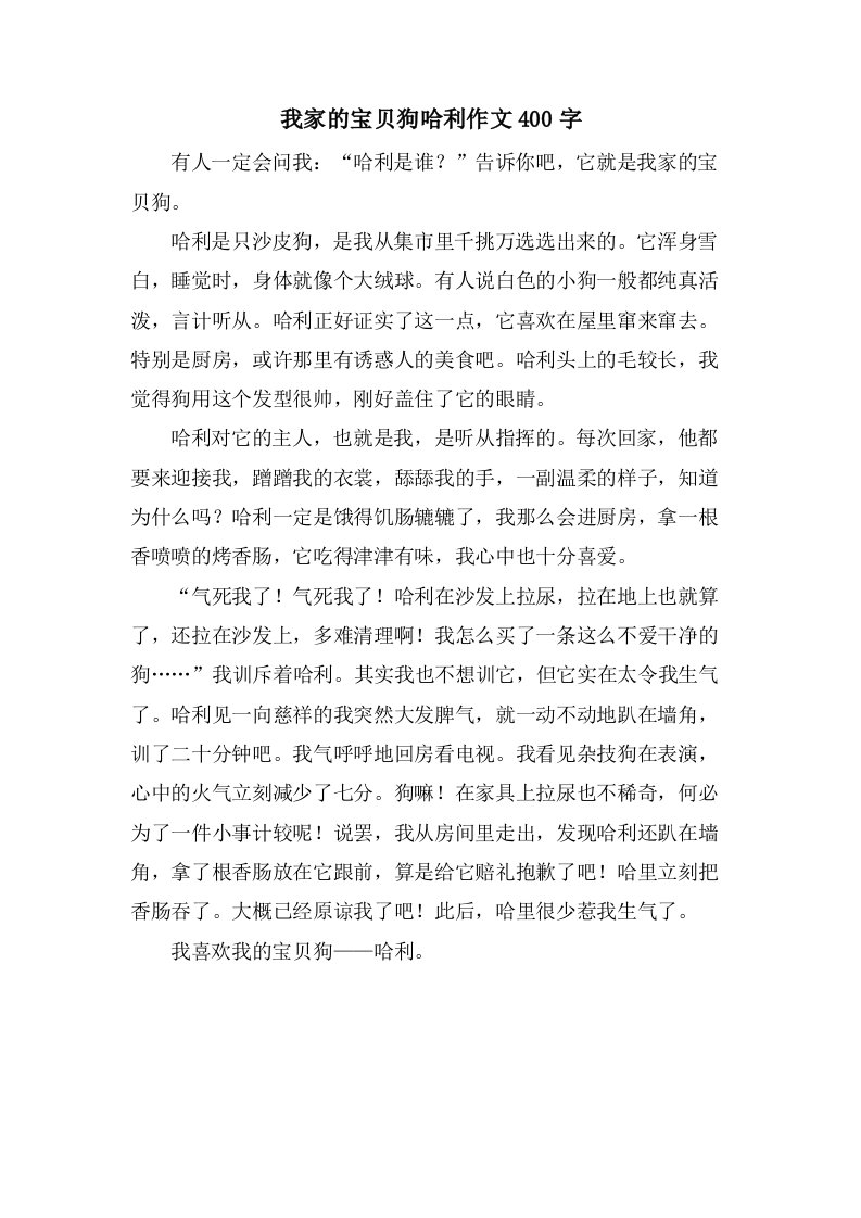 我家的宝贝狗哈利作文400字