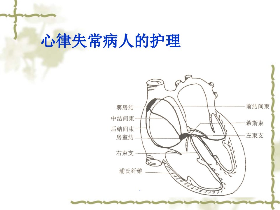 心律失常病人的护理PPT课件