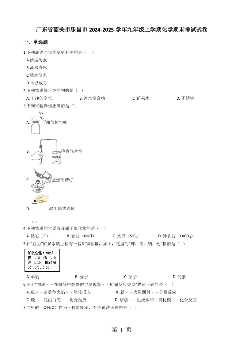 广东省韶关市乐昌市2024-2025学年九年级上学期化学期末考试试卷（解析版）