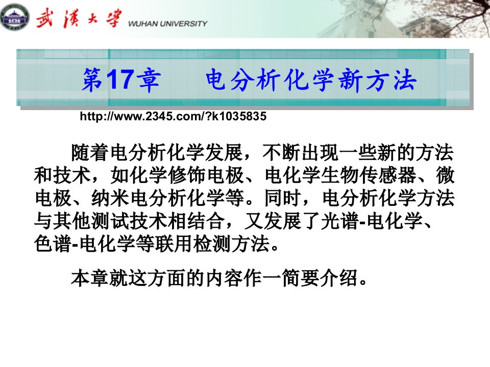 武汉大学分析化学课件第17章电分析化学新方法