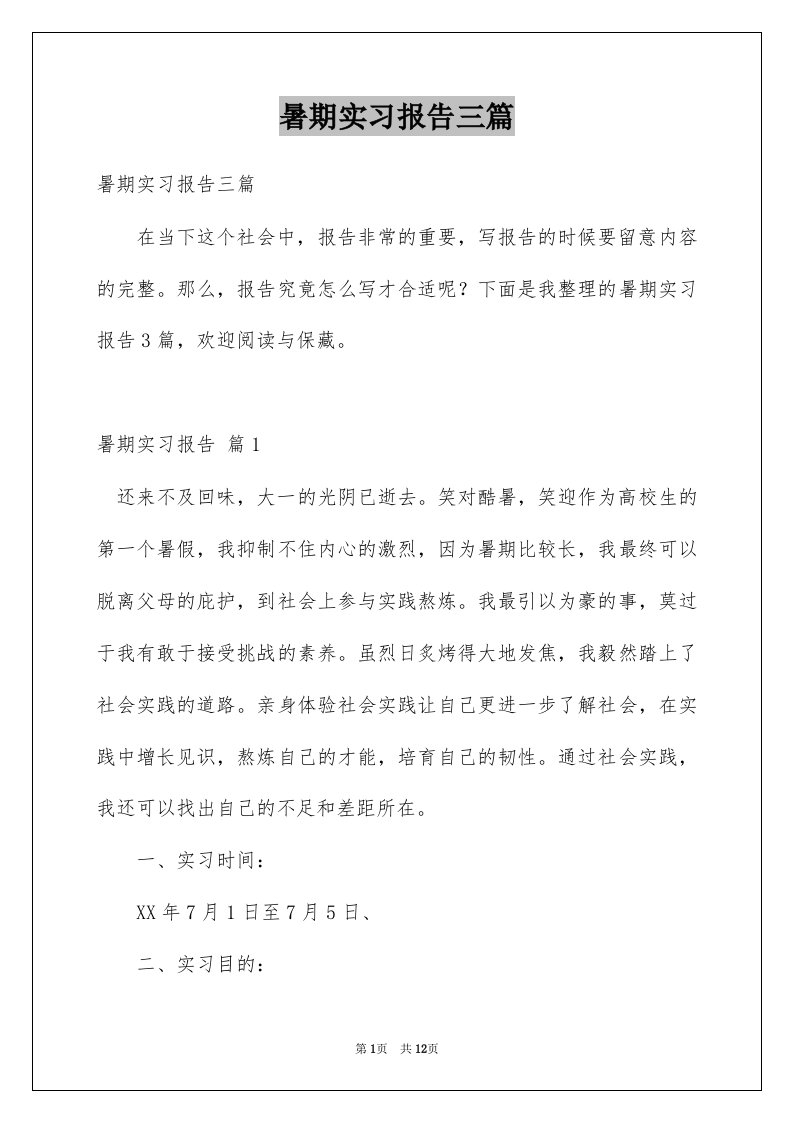 暑期实习报告三篇例文1