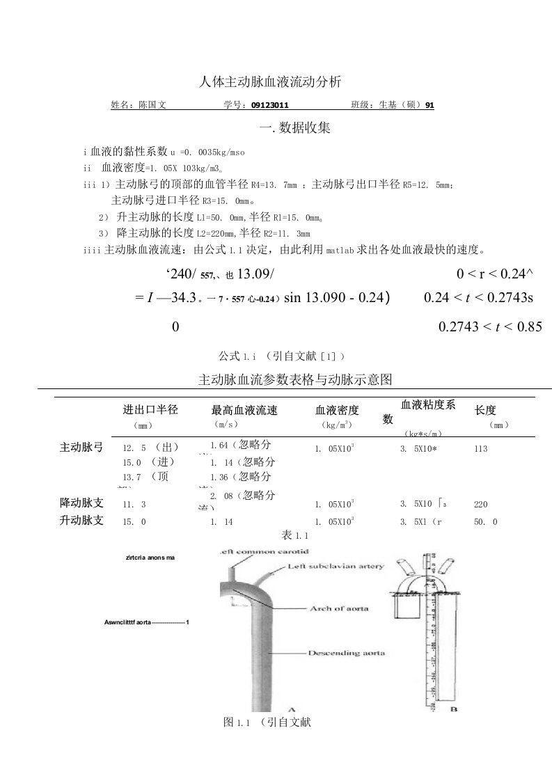 人体主动脉血液流动分析