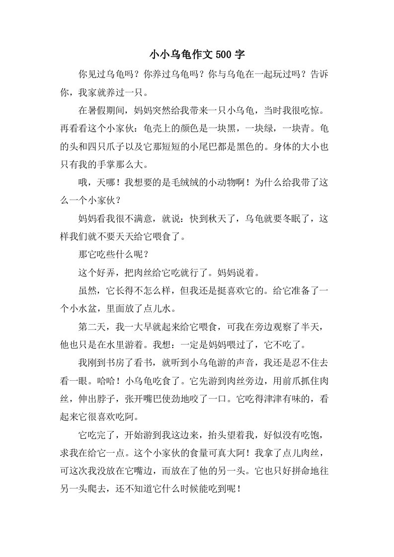 小小乌龟作文500字